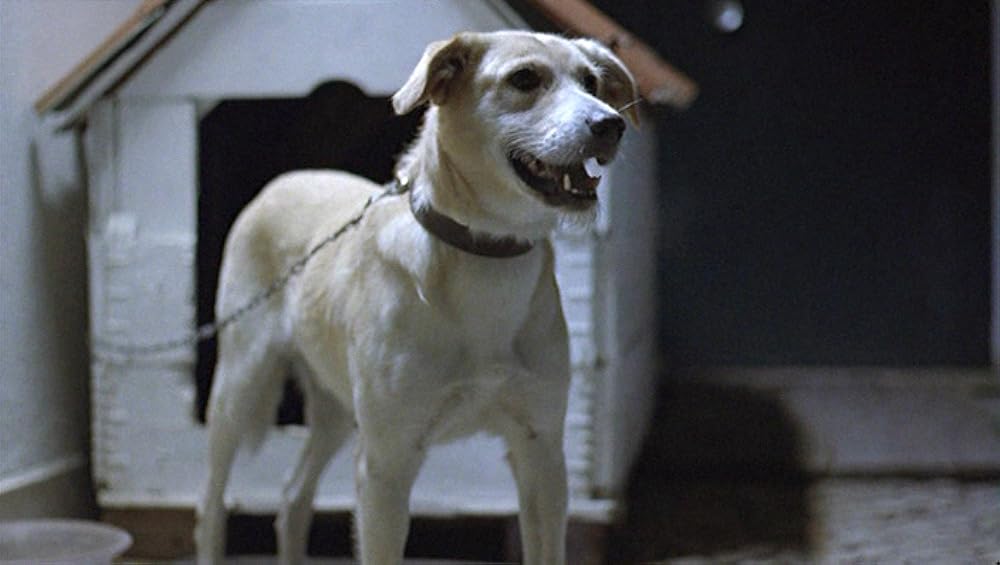 ファンタズマの画像