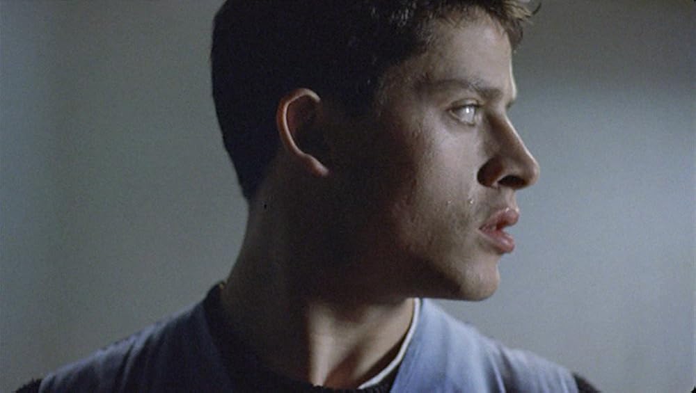 ファンタズマの画像