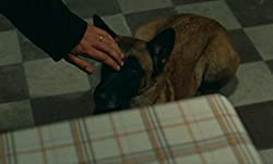 ラルジャンの画像