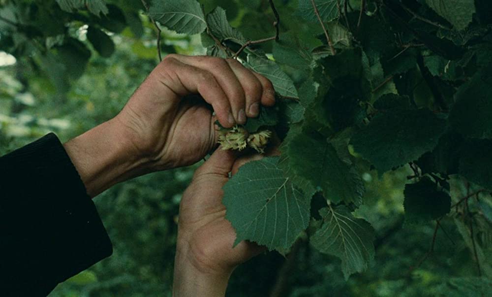 ラルジャンの画像