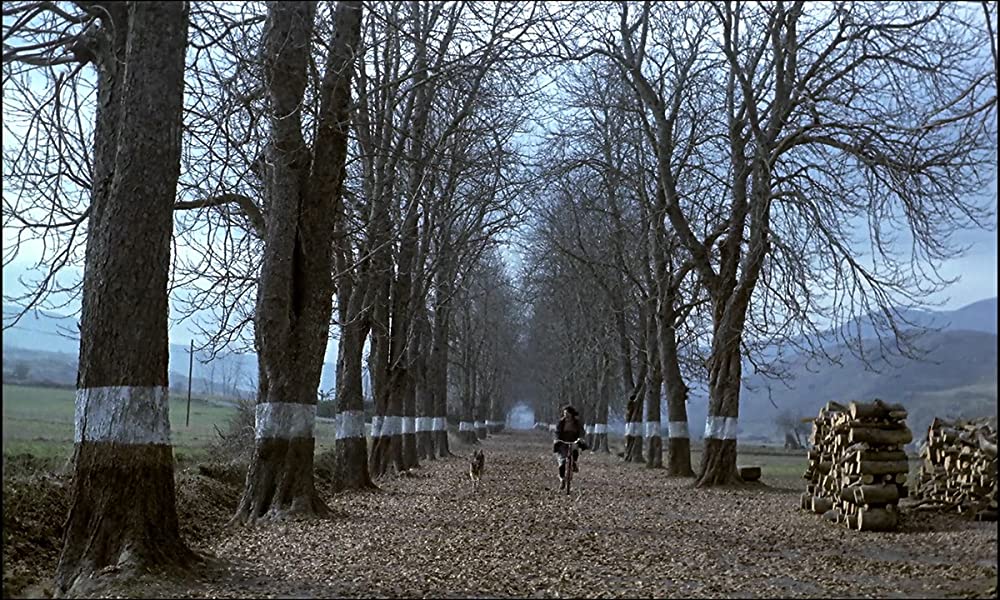 エル・スールの画像