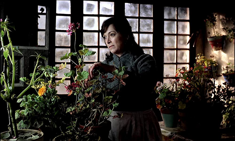 エル・スールの画像