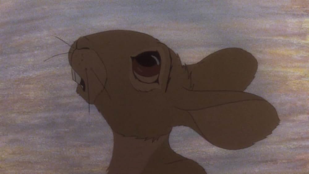 ウォーターシップダウンのうさぎたちの画像