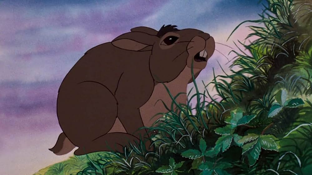 ウォーターシップダウンのうさぎたちの画像