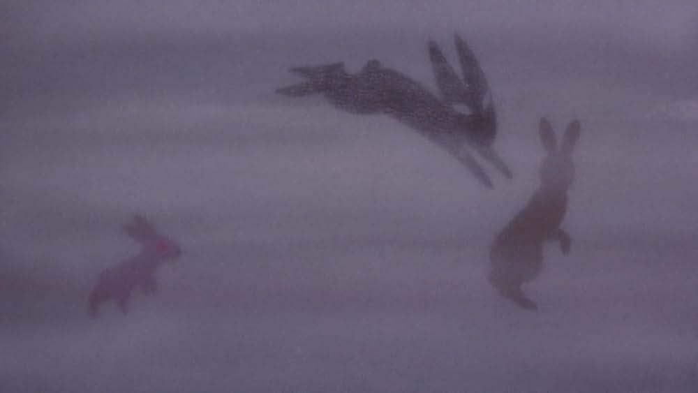 ウォーターシップダウンのうさぎたちの画像