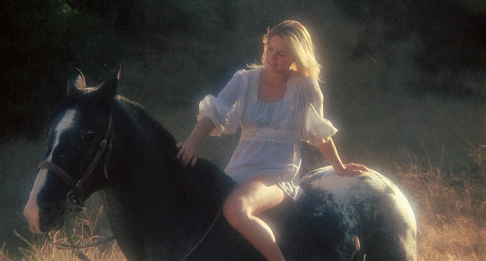 ジャクソン・ジェイルの画像