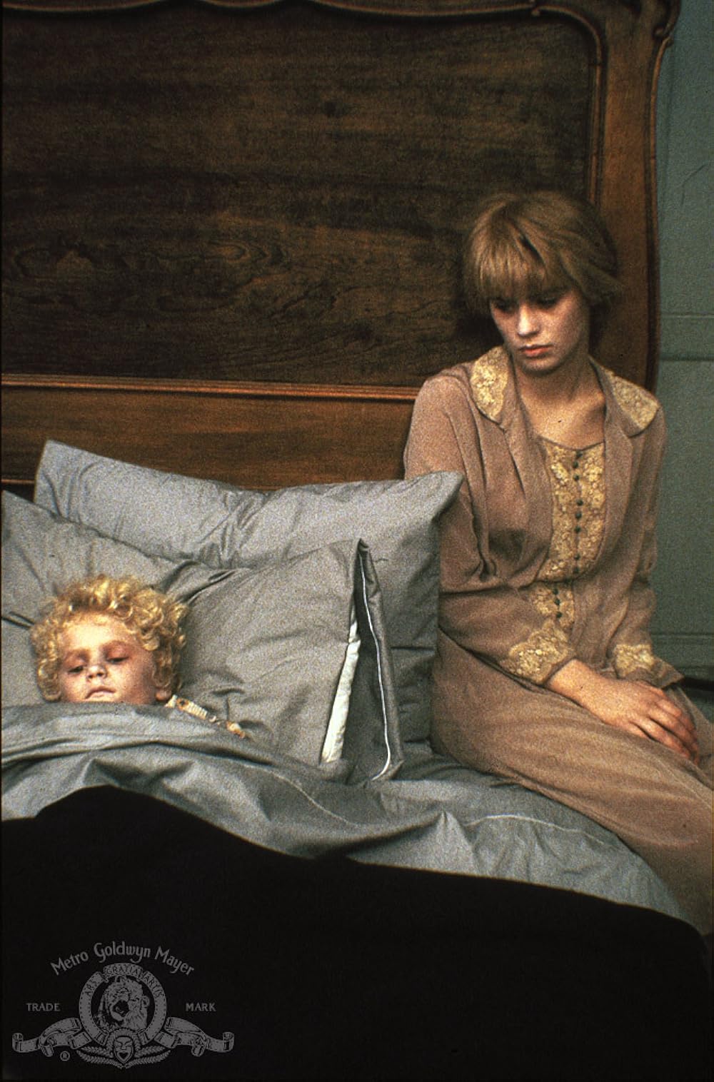 屋根裏部屋の花たちの画像