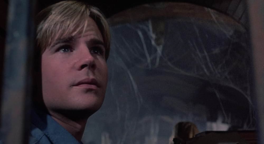 屋根裏部屋の花たちの画像