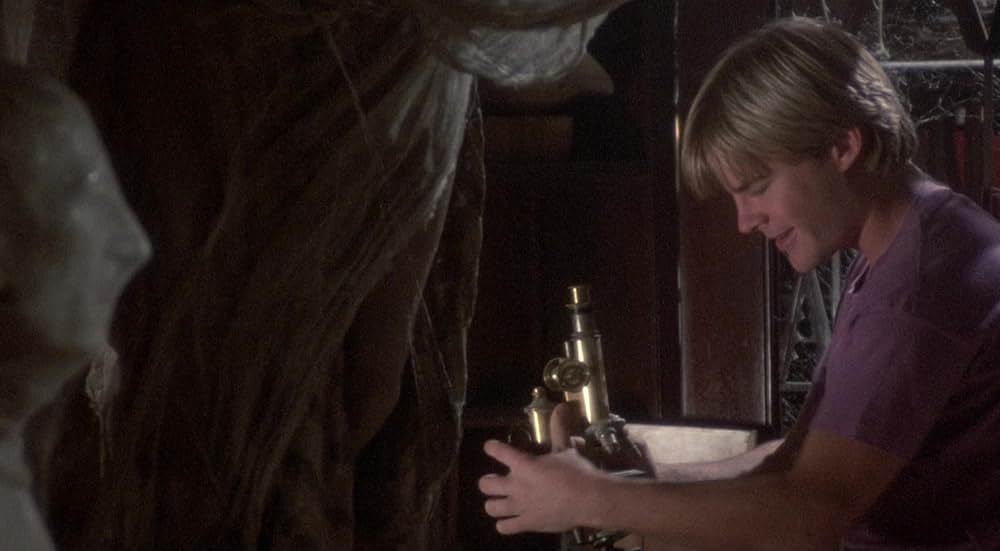 屋根裏部屋の花たちの画像