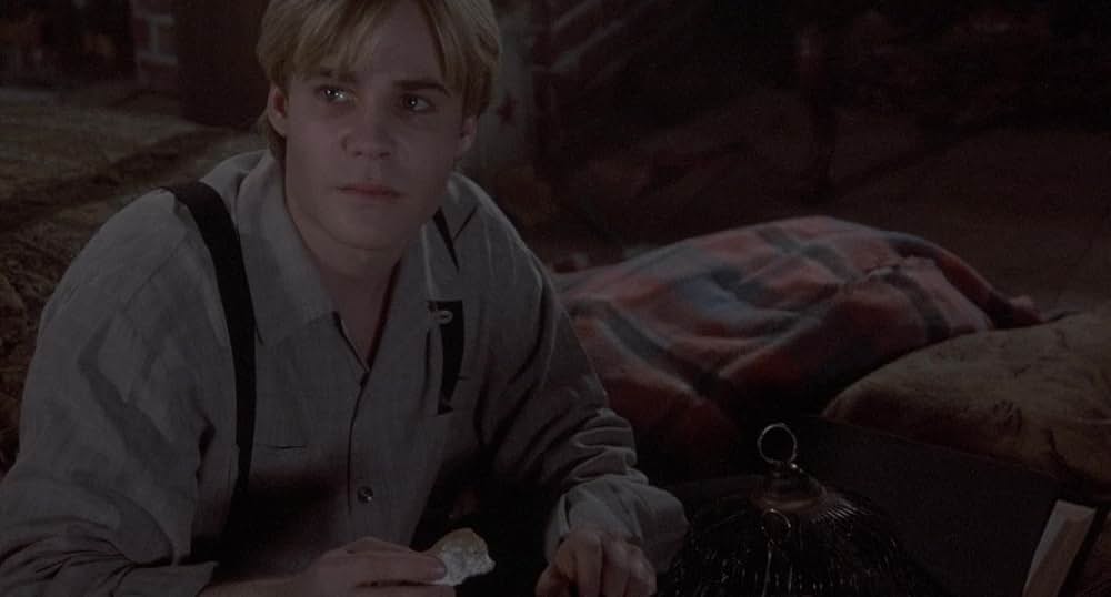 屋根裏部屋の花たちの画像