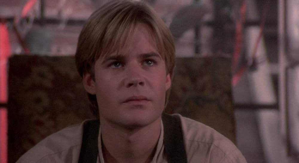 屋根裏部屋の花たちの画像