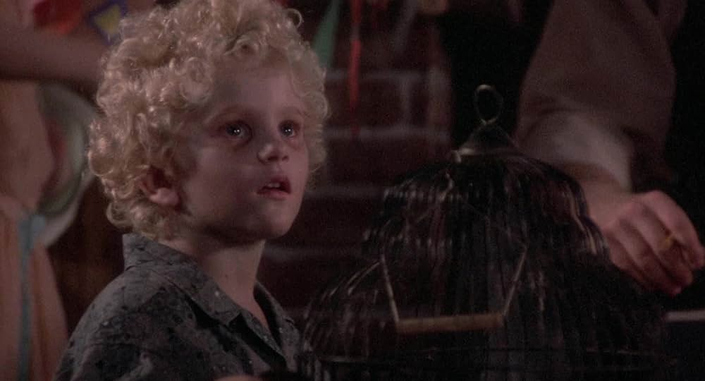 屋根裏部屋の花たちの画像