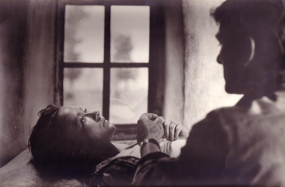 風雪の太陽の画像