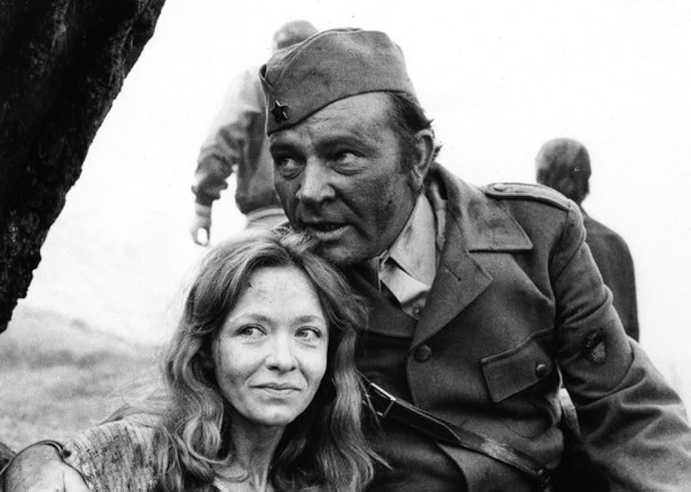 風雪の太陽の画像