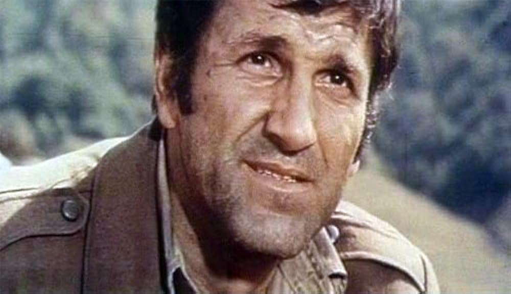 風雪の太陽の画像