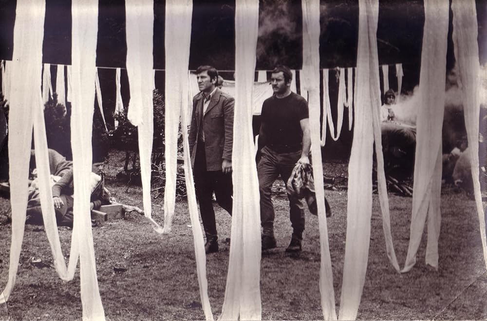 風雪の太陽の画像