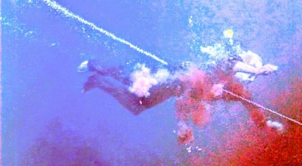 ハウス・オブ・ザ・デッドの画像