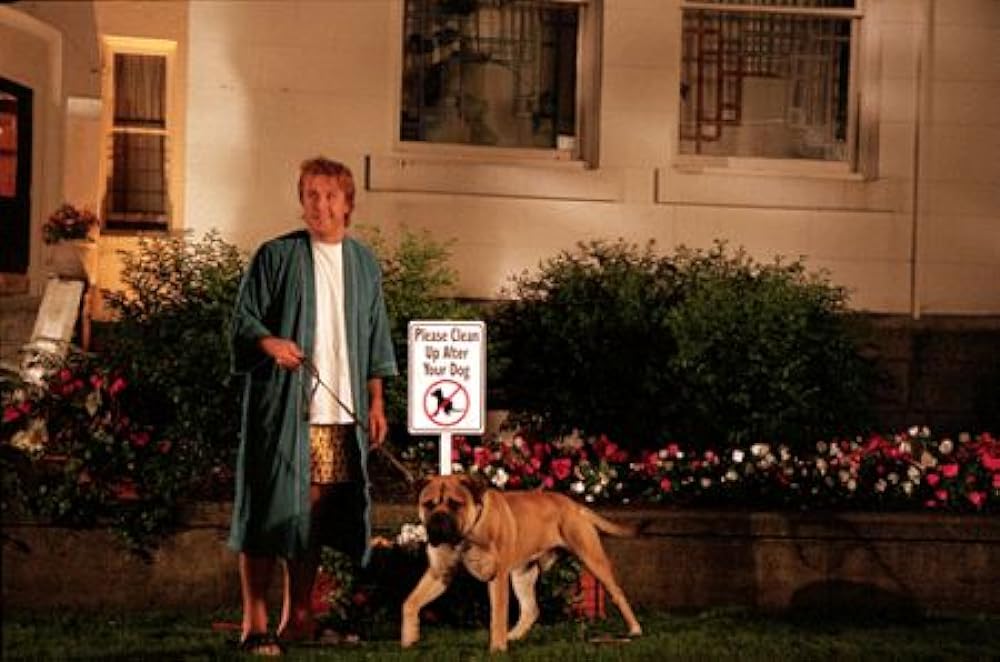 スポットの画像