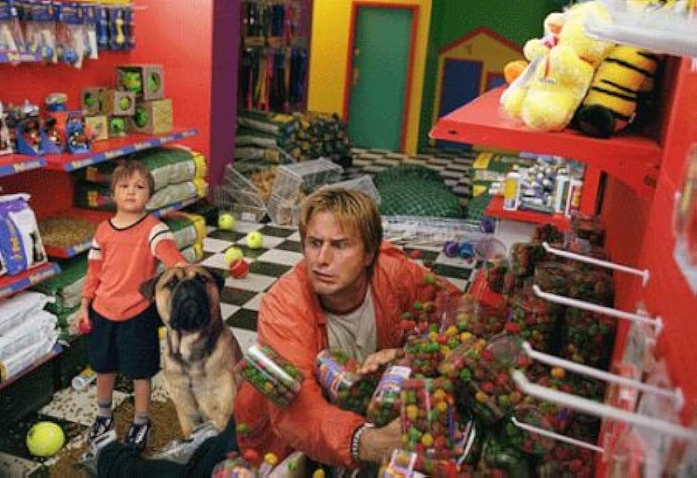 スポットの画像