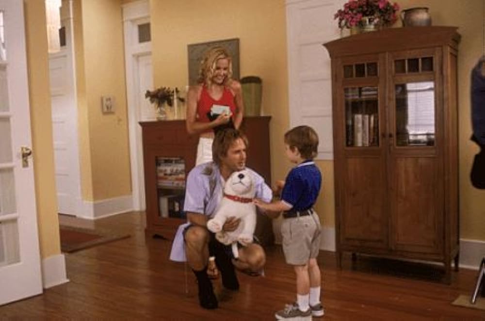 スポットの画像