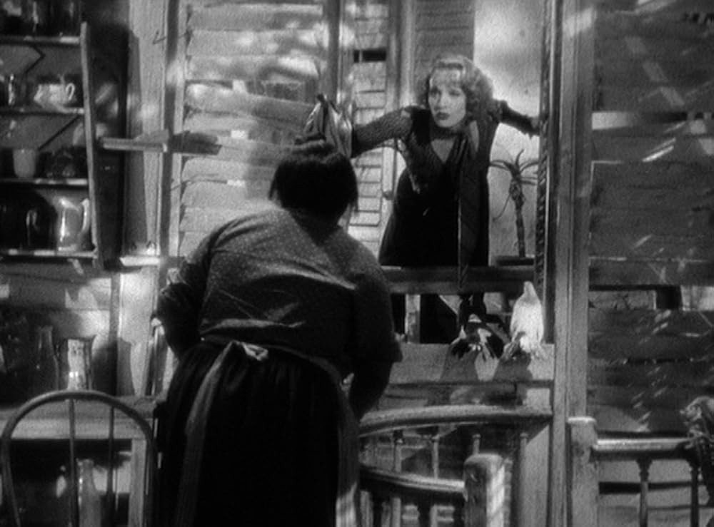 ブロンド・ヴィナスの画像