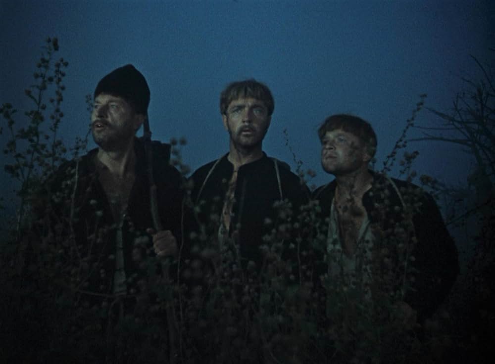 妖婆 死棺の呪いの画像