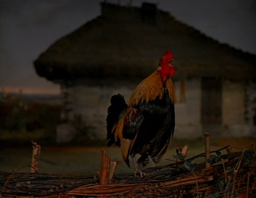 妖婆 死棺の呪いの画像