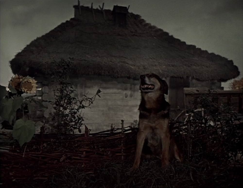 妖婆 死棺の呪いの画像