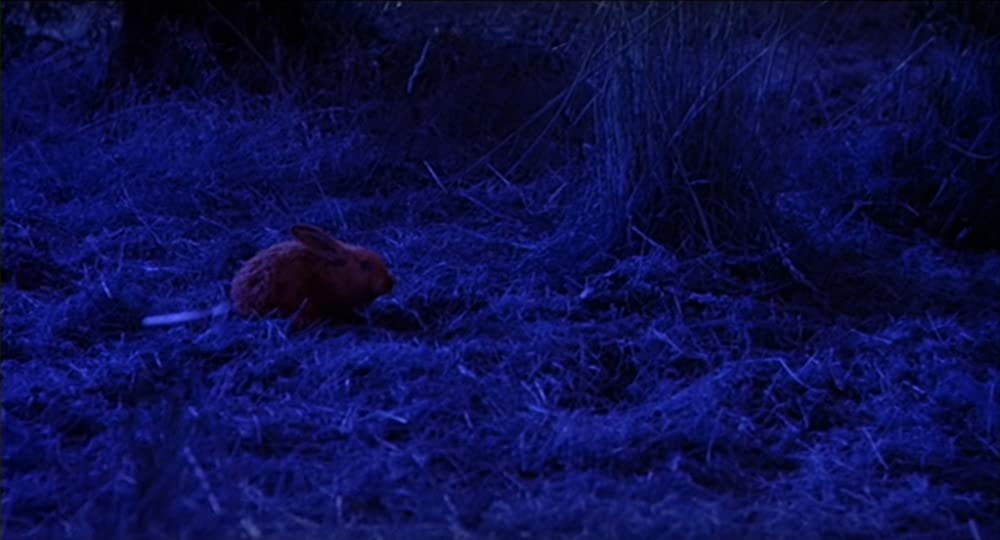 キャット・ピープルの画像