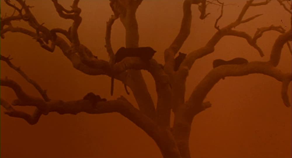 キャット・ピープルの画像