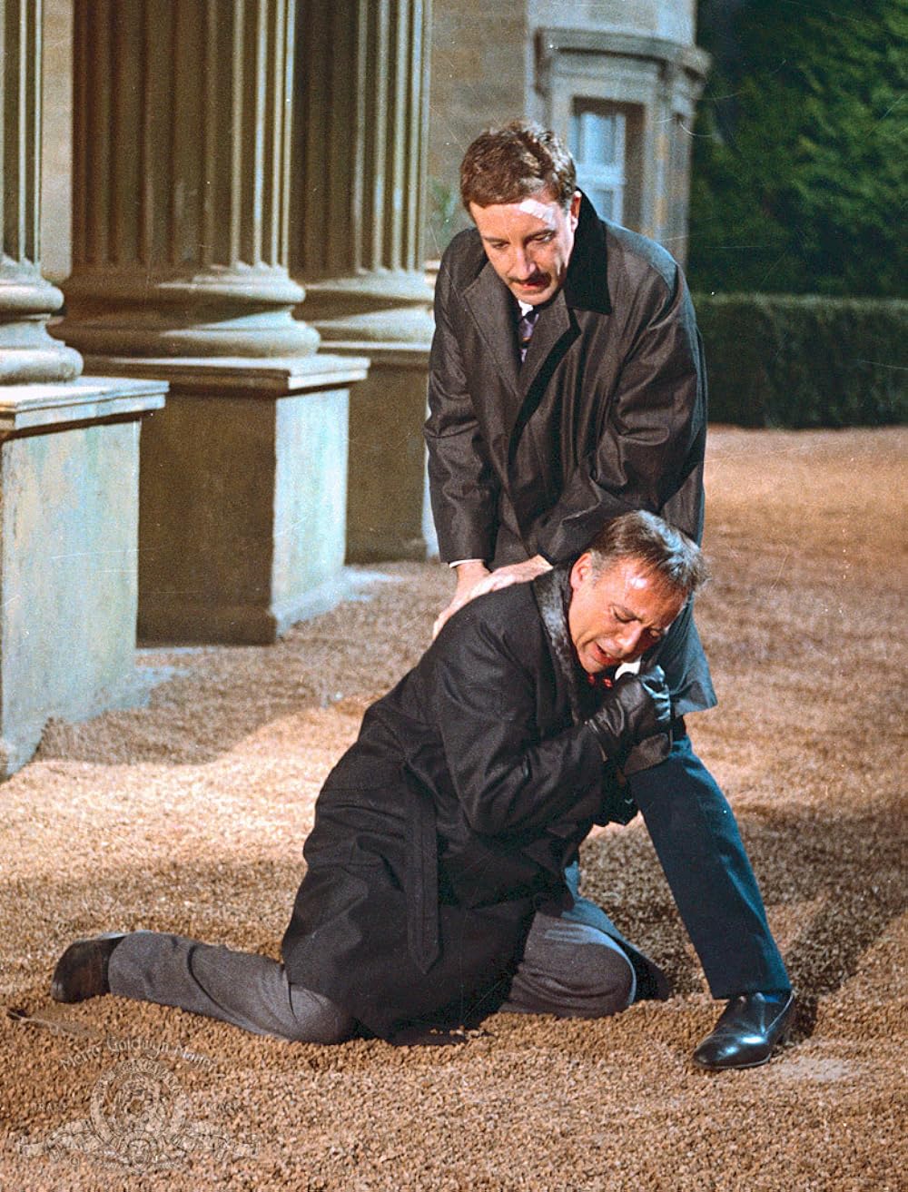 暗闇でドッキリの画像