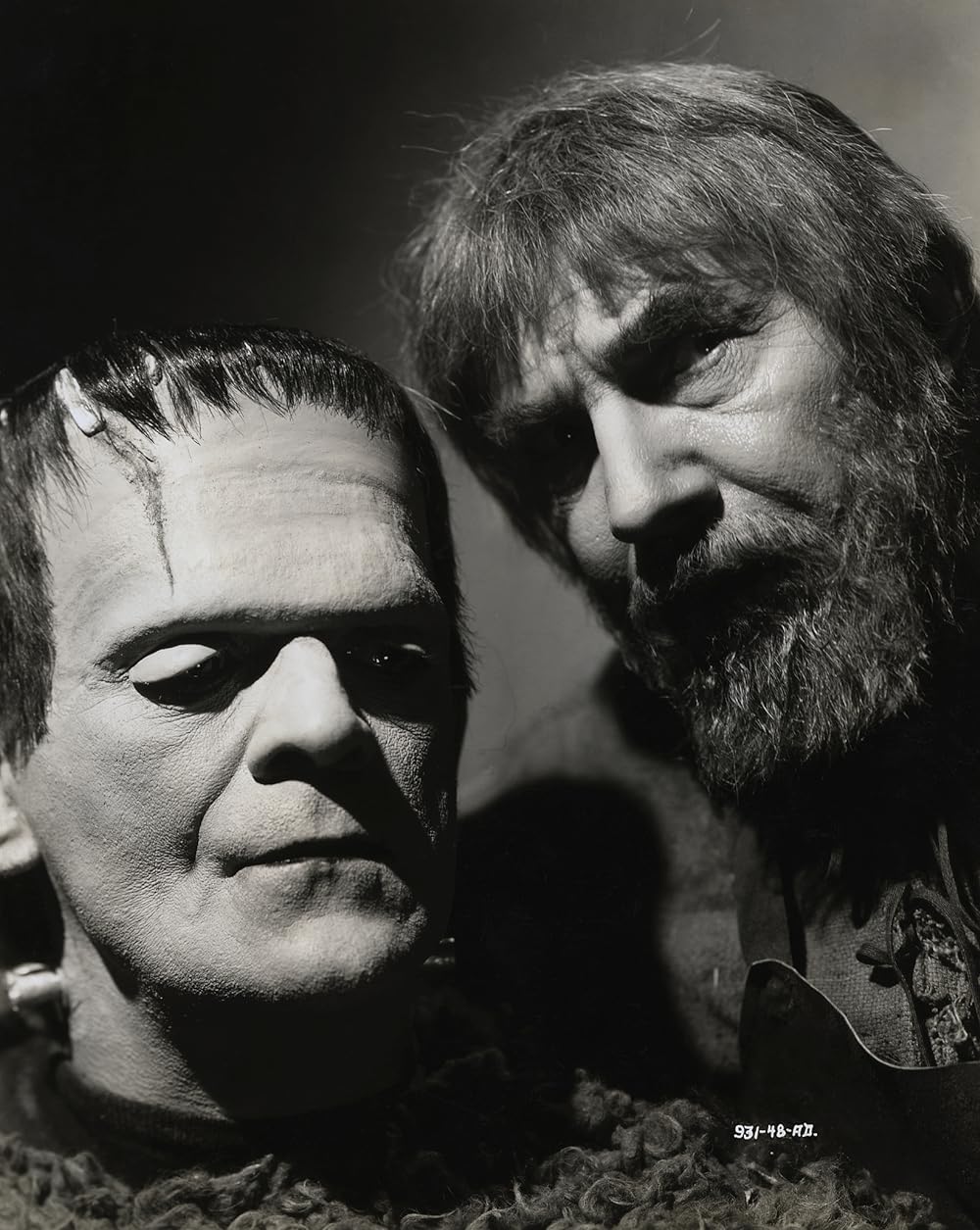 フランケンシュタインの復活の画像