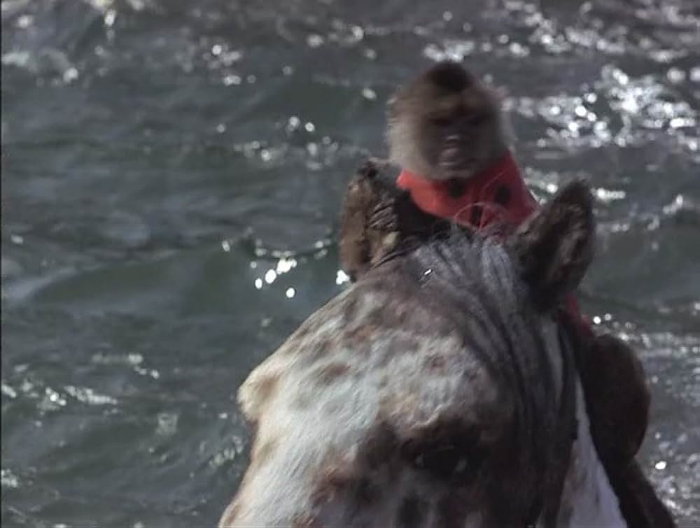 長くつ下ピッピの冒険物語の画像