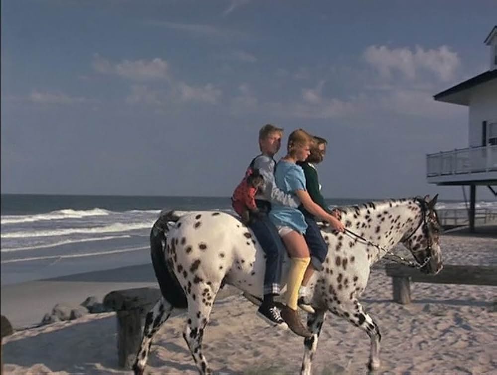 長くつ下ピッピの冒険物語の画像