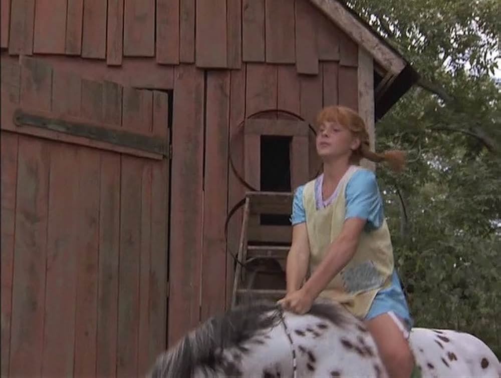 長くつ下ピッピの冒険物語の画像