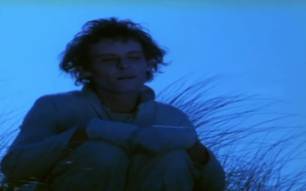 テンペストの画像