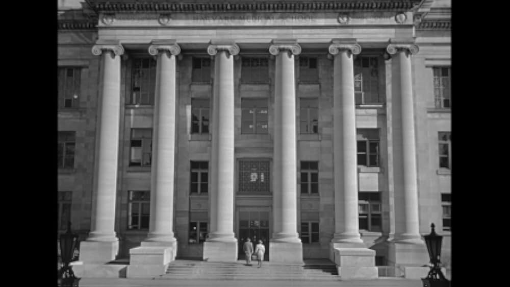 ミステリー・ストリートの画像