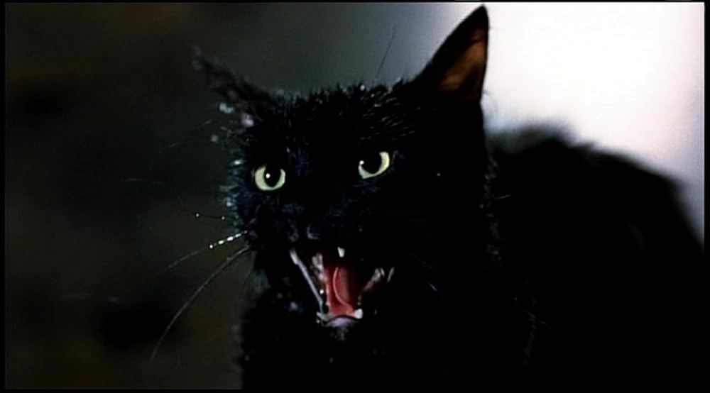 フロム・ザ・ダークサイド／3つの闇の物語の画像