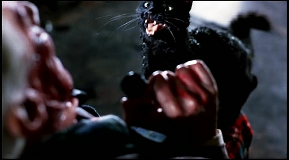 フロム・ザ・ダークサイド／3つの闇の物語の画像