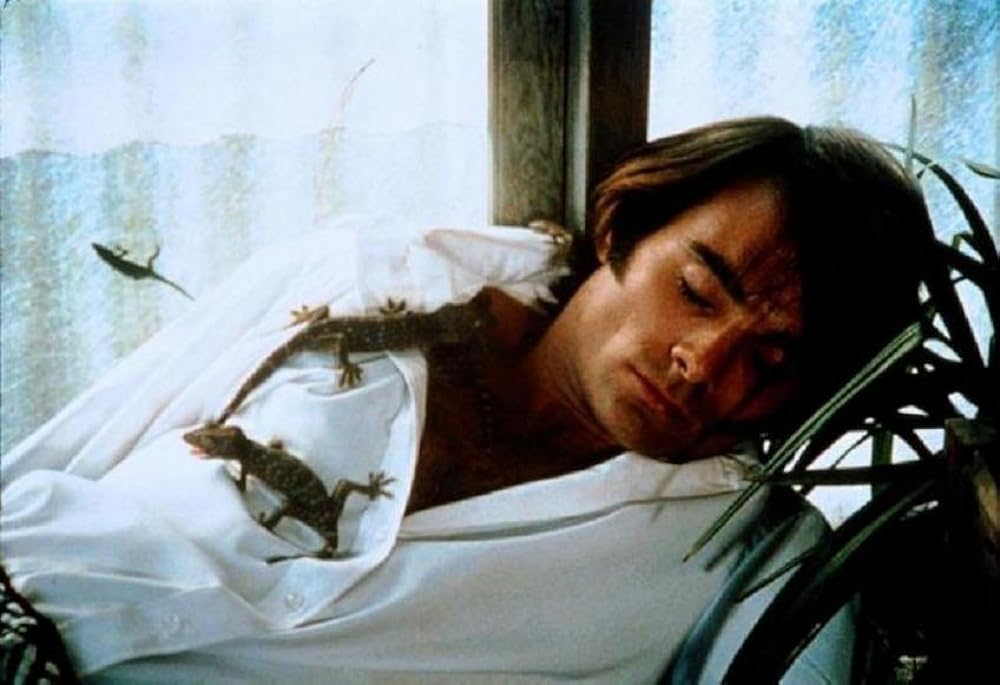 吸血の群れの画像