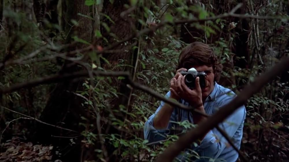 吸血の群れの画像