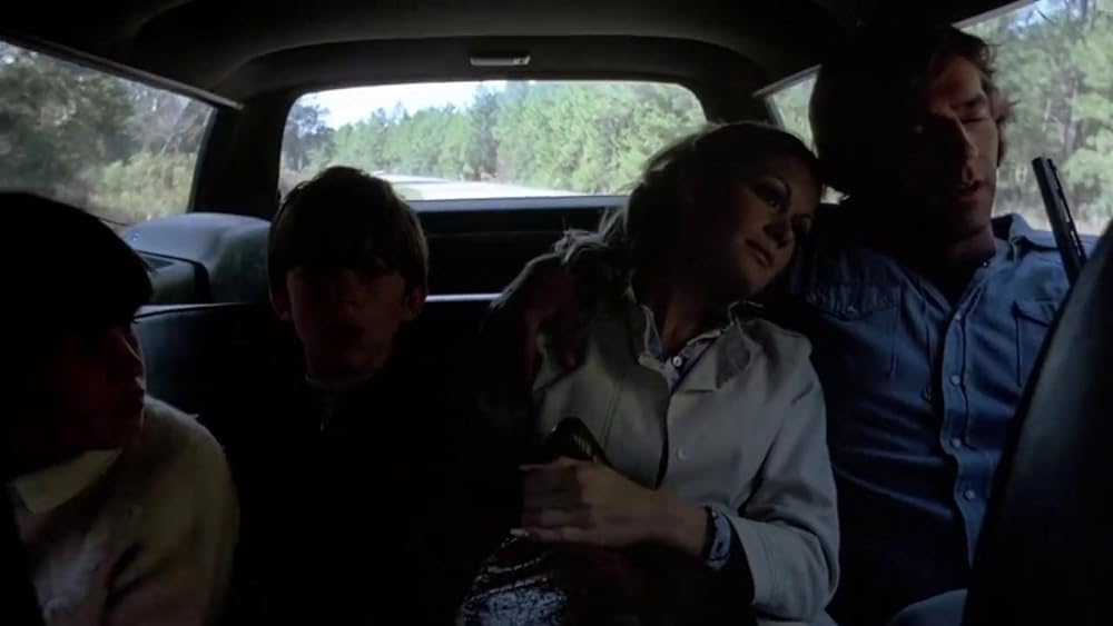 吸血の群れの画像