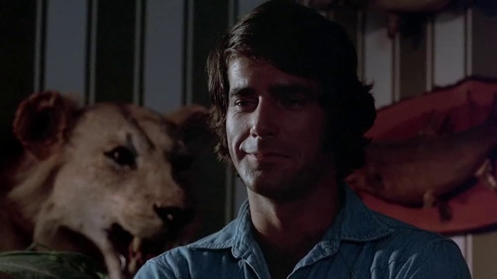 吸血の群れの画像