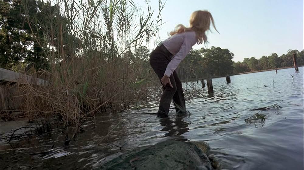 吸血の群れの画像