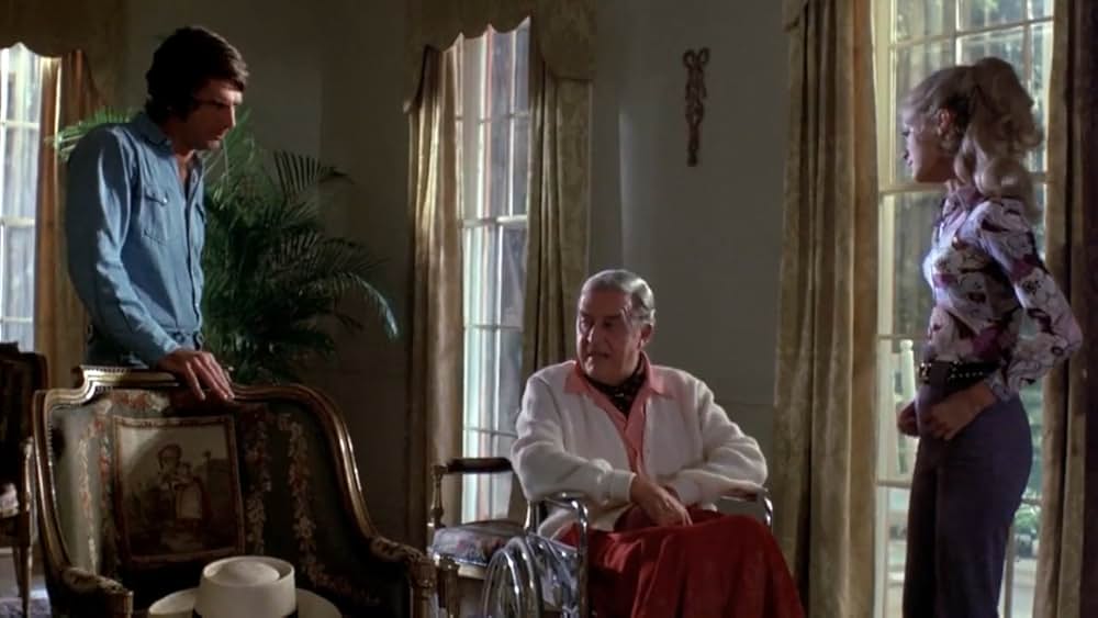 吸血の群れの画像