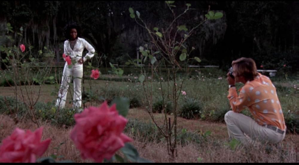 吸血の群れの画像