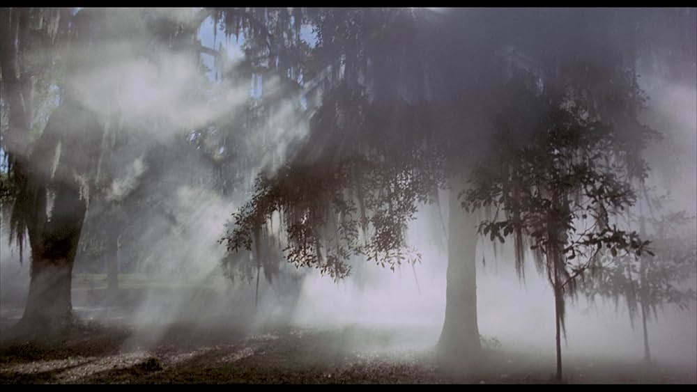 吸血の群れの画像