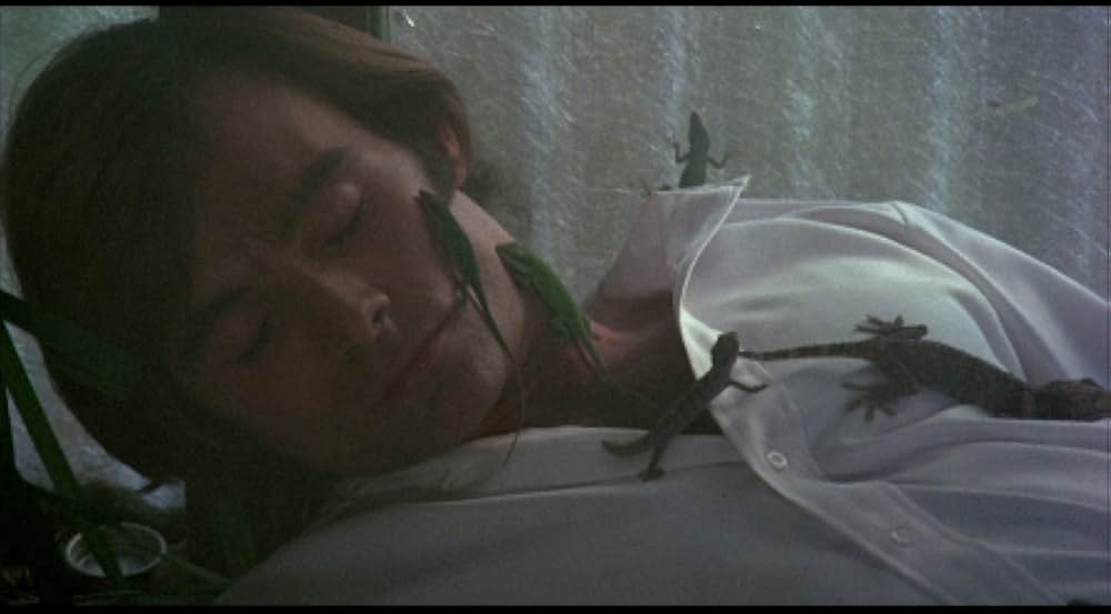 吸血の群れの画像