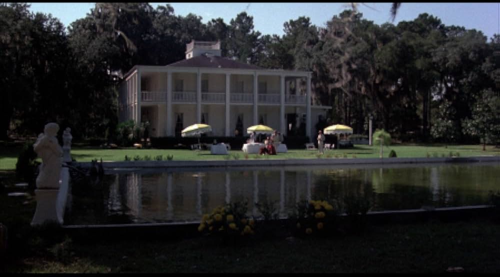 吸血の群れの写真