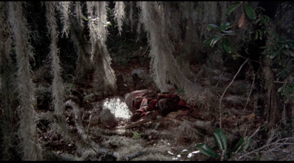 吸血の群れの画像